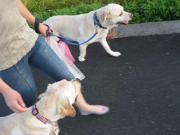 ファイル 1085-1.jpg