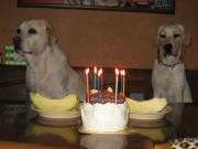 ファイル 1085-4.jpg