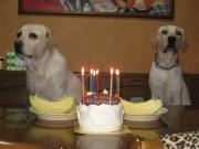 ファイル 1085-5.jpg