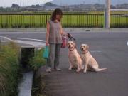 ファイル 1087-1.jpg