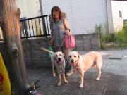 ファイル 1087-2.jpg