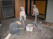 ファイル 1088-4.jpg