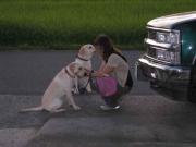 ファイル 1093-1.jpg