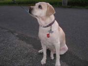 ファイル 1093-2.jpg