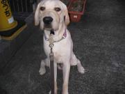 ファイル 1093-3.jpg