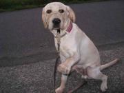 ファイル 1093-5.jpg