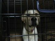 ファイル 1094-3.jpg