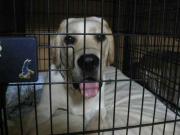 ファイル 1094-4.jpg