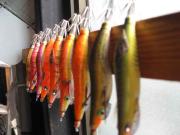 ファイル 1098-4.jpg