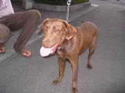 ファイル 1099-3.jpg