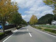 ファイル 1100-1.jpg