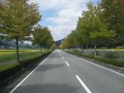 ファイル 1100-2.jpg