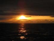 ファイル 1105-2.jpg