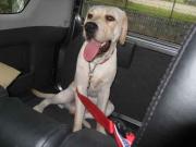 ファイル 1106-1.jpg