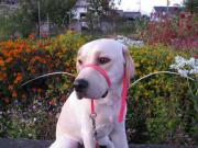 ファイル 1106-5.jpg