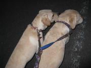 ファイル 1109-2.jpg