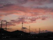 ファイル 1111-1.jpg