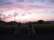 ファイル 1111-3.jpg