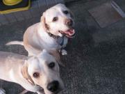 ファイル 1113-5.jpg