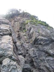 ファイル 1115-2.jpg