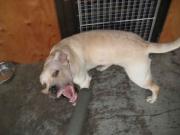 ファイル 1117-3.jpg