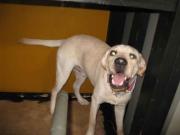 ファイル 1117-4.jpg