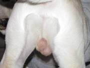 ファイル 1119-3.jpg