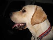 ファイル 1120-3.jpg