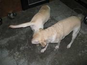 ファイル 1120-4.jpg