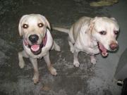 ファイル 1120-5.jpg