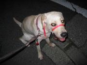 ファイル 1122-2.jpg