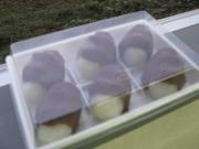 ファイル 1128-3.jpg