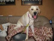 ファイル 1131-2.jpg