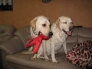 ファイル 1132-2.jpg