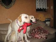 ファイル 1132-3.jpg