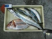 ファイル 1137-2.jpg