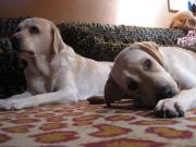 ファイル 1139-5.jpg