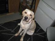 ファイル 1142-2.jpg