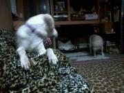 ファイル 1143-2.jpg