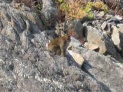 ファイル 1145-2.jpg