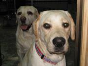 ファイル 1145-4.jpg