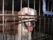 ファイル 1146-1.jpg