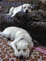 ファイル 1147-2.jpg