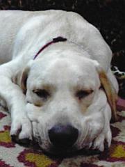 ファイル 1147-3.jpg