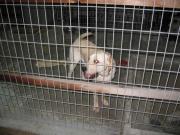 ファイル 1147-4.jpg