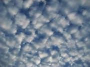 ファイル 1149-1.jpg