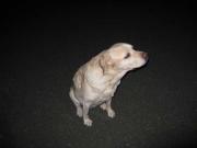 ファイル 1149-2.jpg