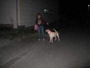 ファイル 1149-3.jpg