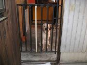 ファイル 1150-1.jpg