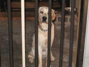 ファイル 1150-2.jpg